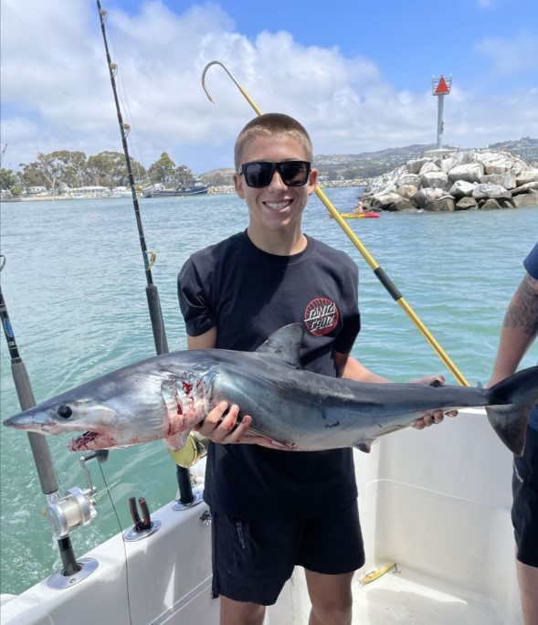 So-Cal Sportfishing Or Sharking Trip - 34' Scarab In Dana Point