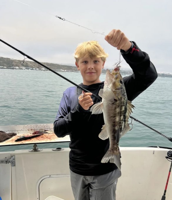 So-Cal Sportfishing Or Sharking Trip - 47' Jersey In Dana Point