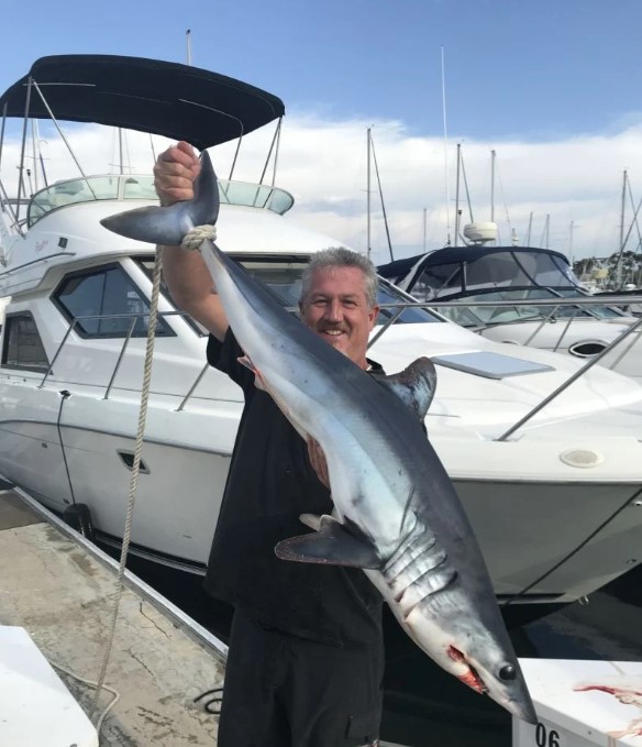 So-Cal Sportfishing Or Sharking Trip - 34' Scarab In Dana Point