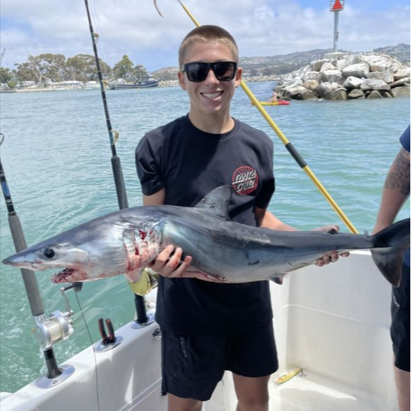 So-Cal Sportfishing Or Sharking Trip - 47' Jersey In Dana Point