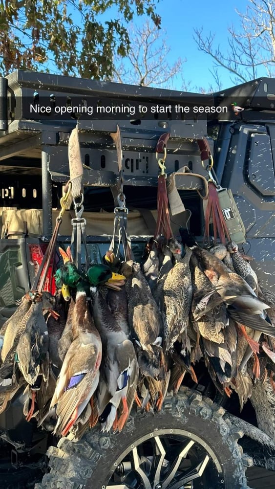 Duck Hunting W/ Lodging Available In Fisher