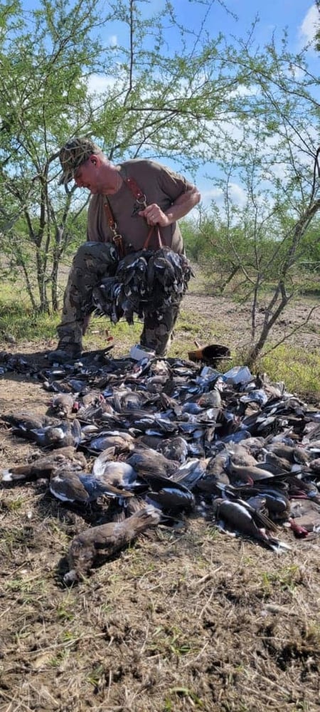 Dove Hunting 3 Days / 4 Nights In San Fernando