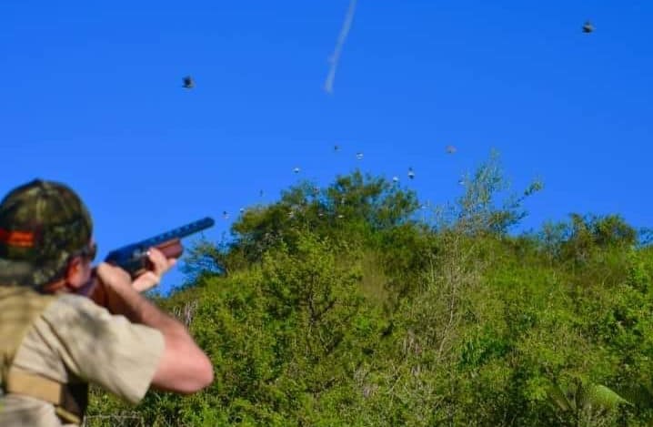 Dove Hunting 3 Days / 4 Nights In San Fernando