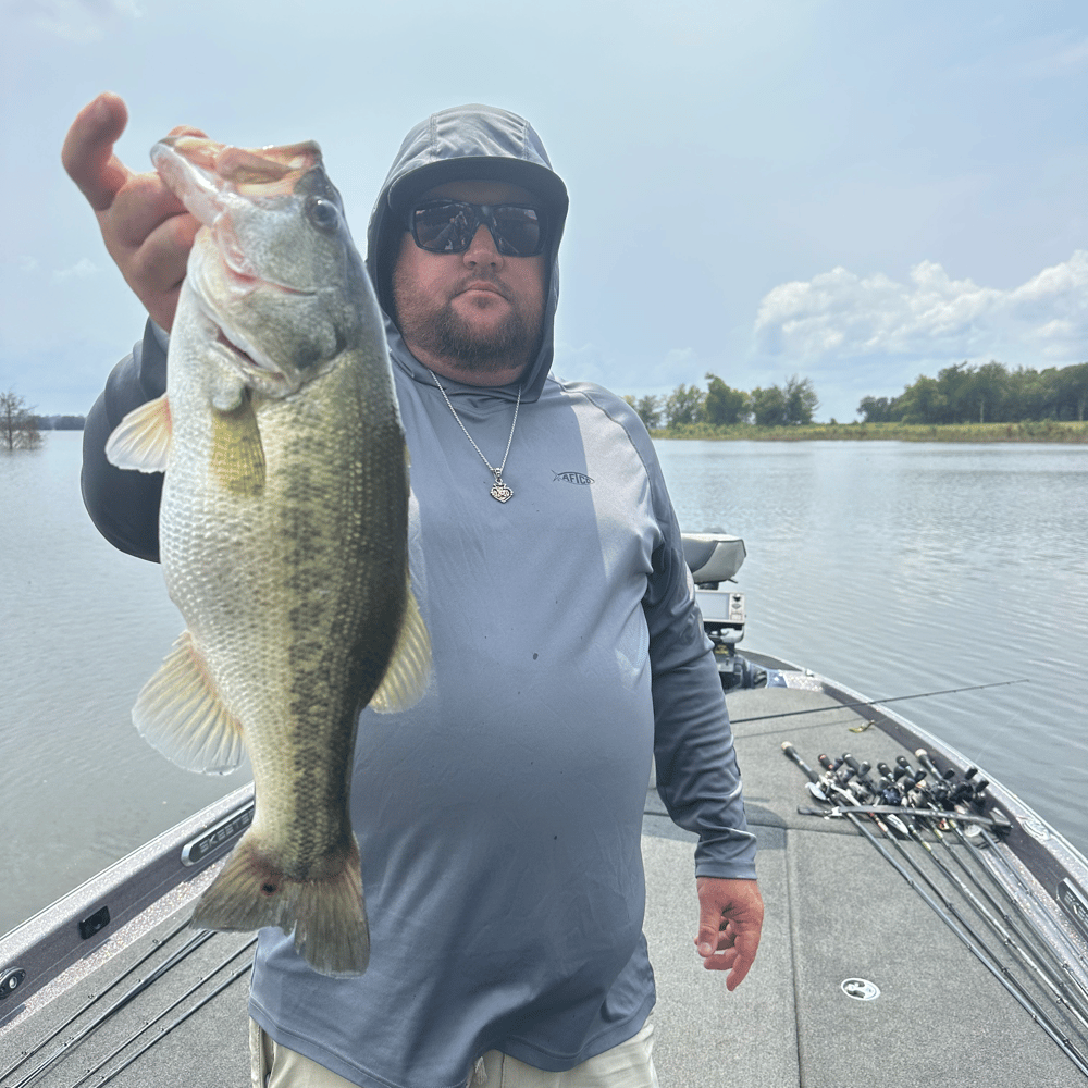 Lake Sam Rayburn In Zavalla