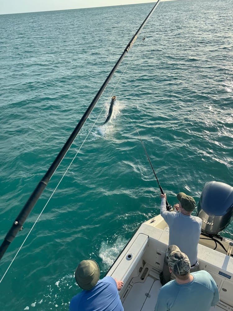 Short Tarpon Trip In Marathon