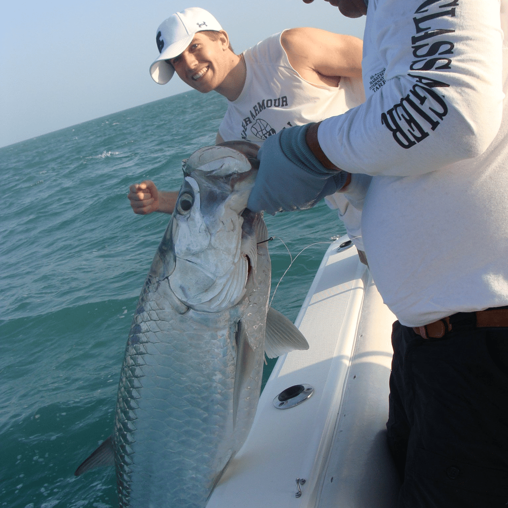 Short Tarpon Trip In Marathon