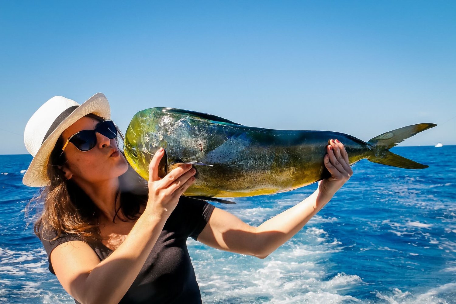 Cabo VIP Fishing - 32’ Luhrs 5-8hrs In Cabo San Lucas