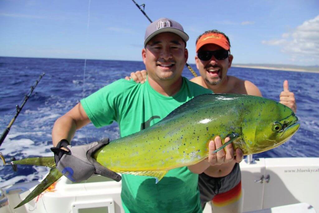 Cabo VIP Fishing - 32’ Luhrs 5-8hrs In Cabo San Lucas