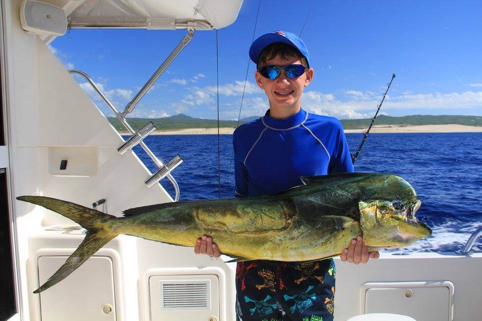 Cabo VIP Fishing - 32’ Luhrs 5-8hrs In Cabo San Lucas