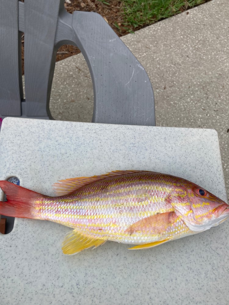 Take A Kid Fishing In St. Augustine