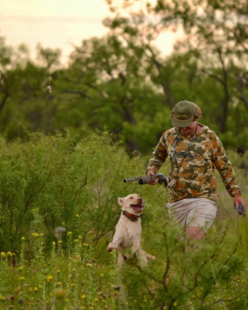 Abilene Dove Hunting In Abilene