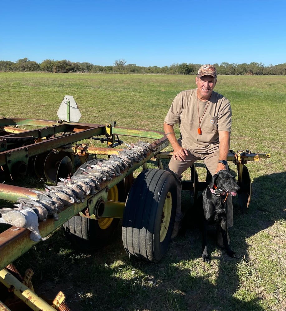 Abilene Dove Hunting In Abilene