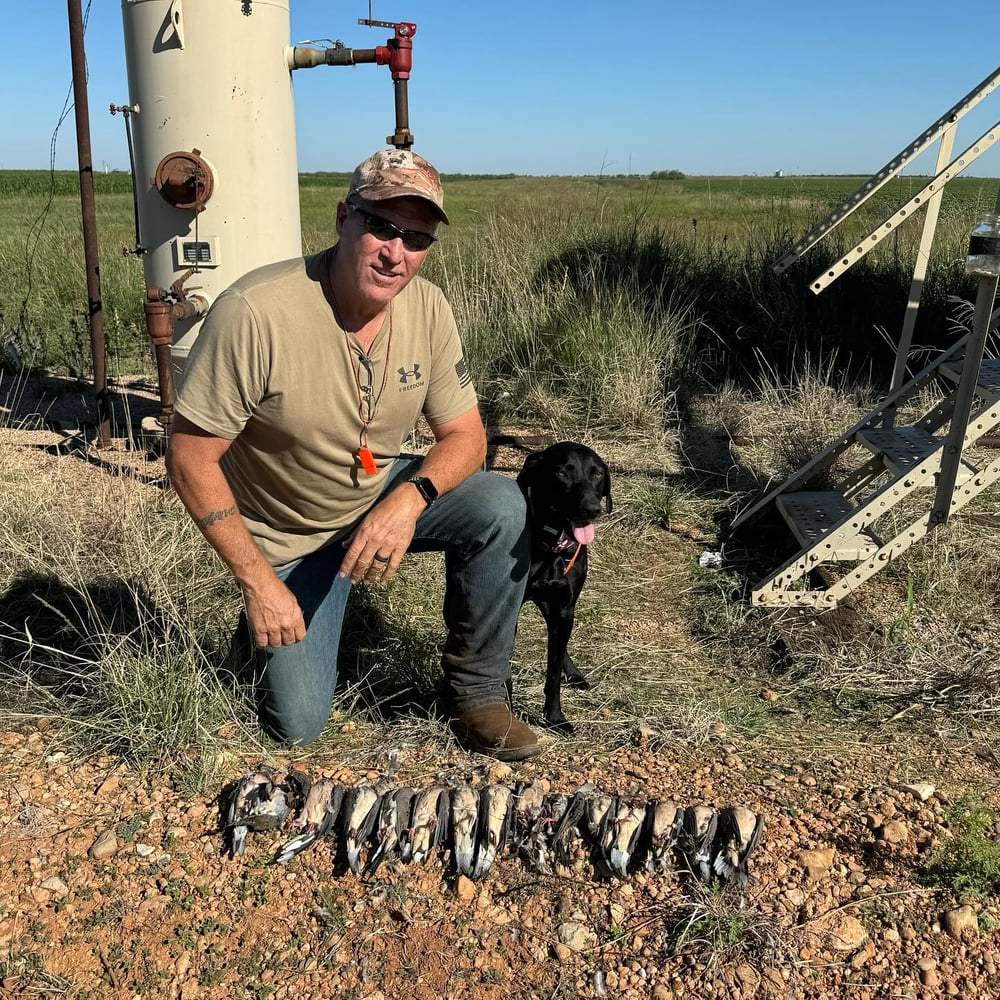 Abilene Dove Hunting In Abilene