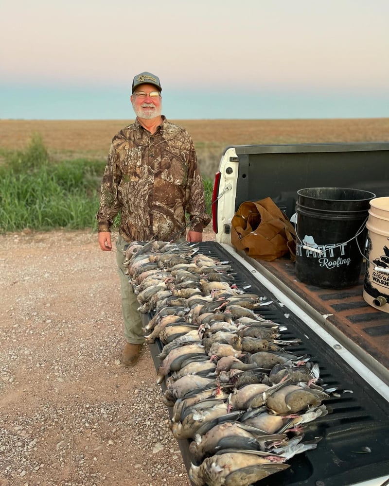 Abilene Dove Hunting In Abilene