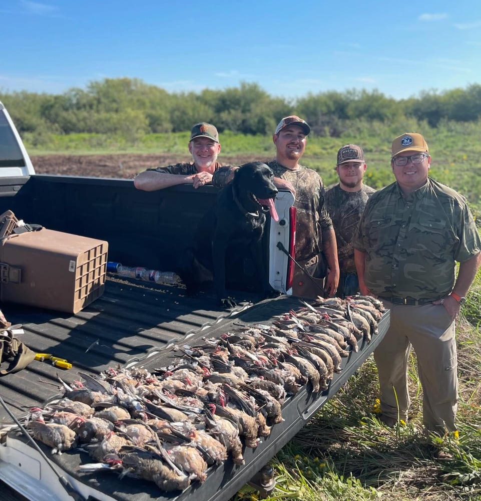 Abilene Dove Hunting In Abilene