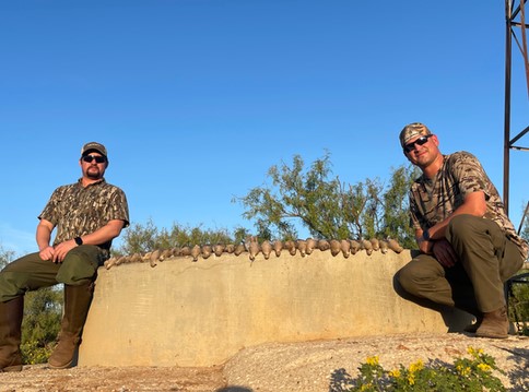 West Texas Weekday Dove Hunt In Andrews