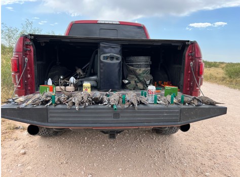 West Texas Weekday Dove Hunt In Andrews