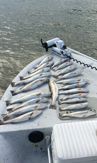 Jetty Fishing In Texas City