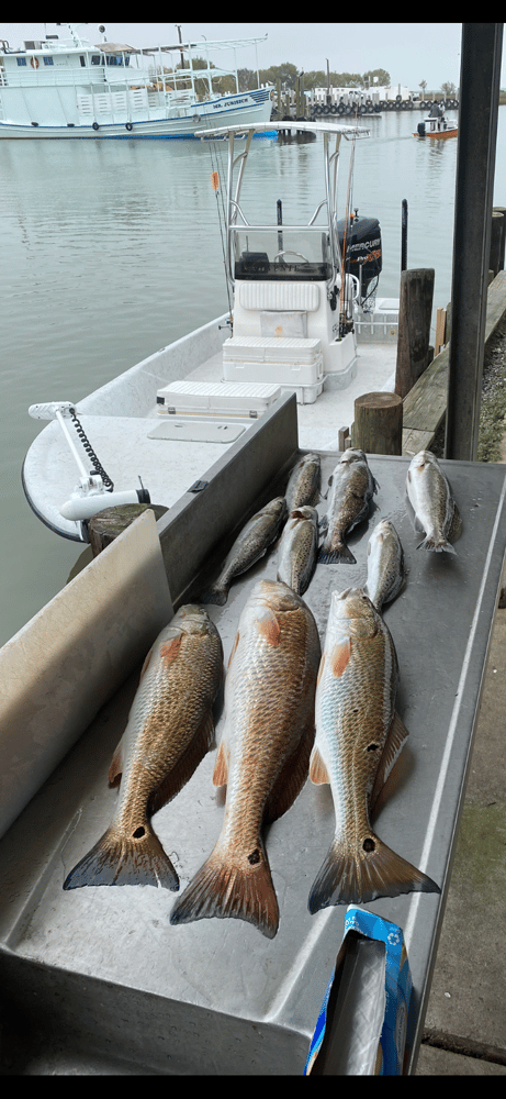 Jetty Fishing In Texas City