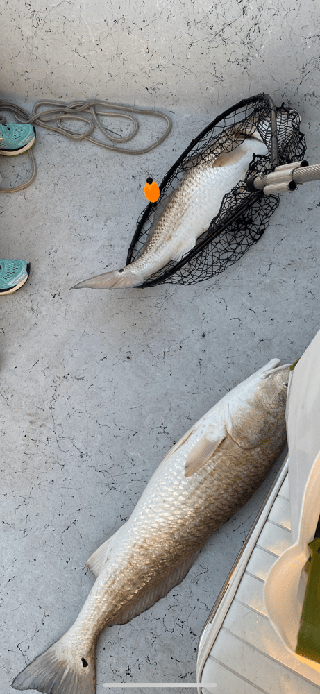 Jetty Fishing In Texas City