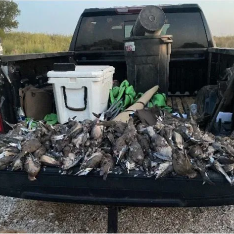 Oklahoma Dove Hunts In Fort Supply