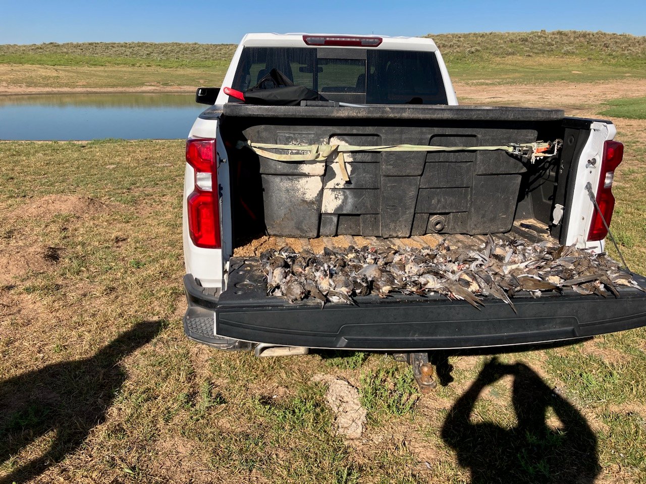 Oklahoma Dove Hunts In Fort Supply