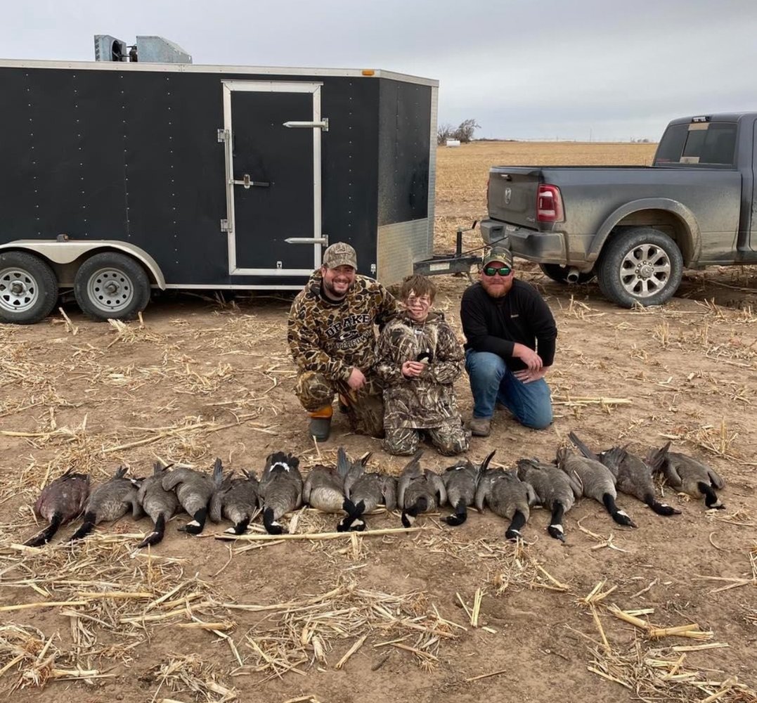 Drive-in Goose / Crane Hunts In Olton