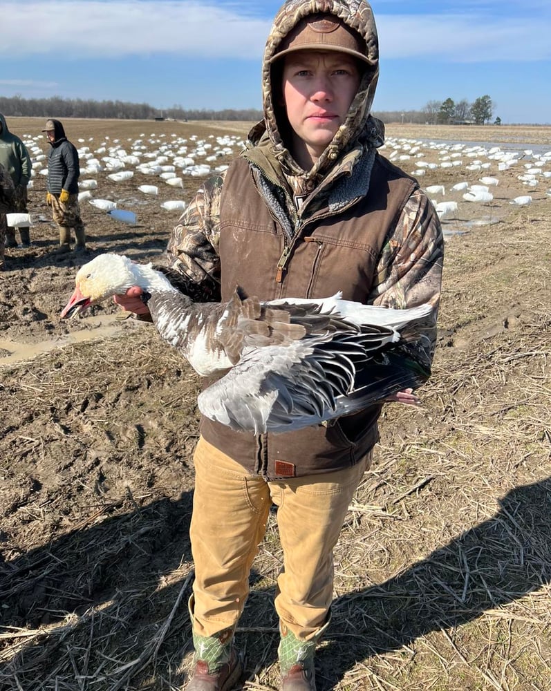 Drive-in Goose / Crane Hunts In Olton