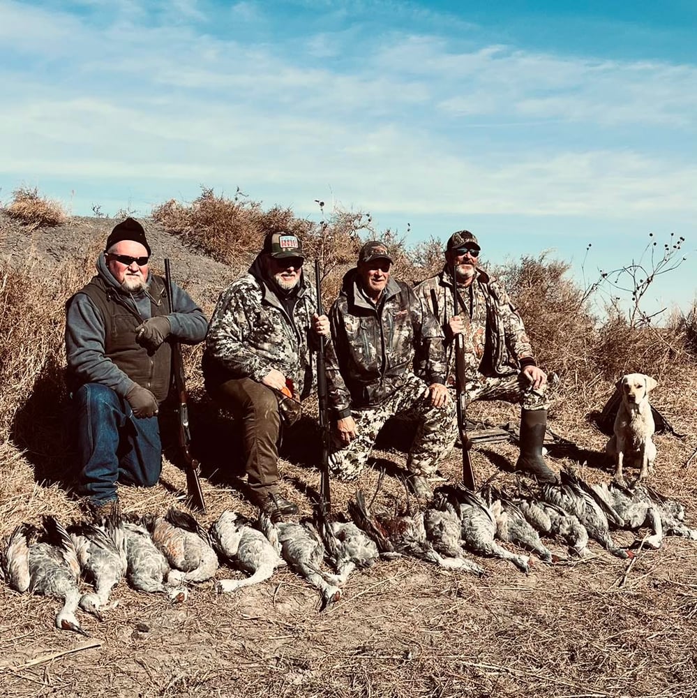 Drive-in Goose / Crane Hunts In Olton