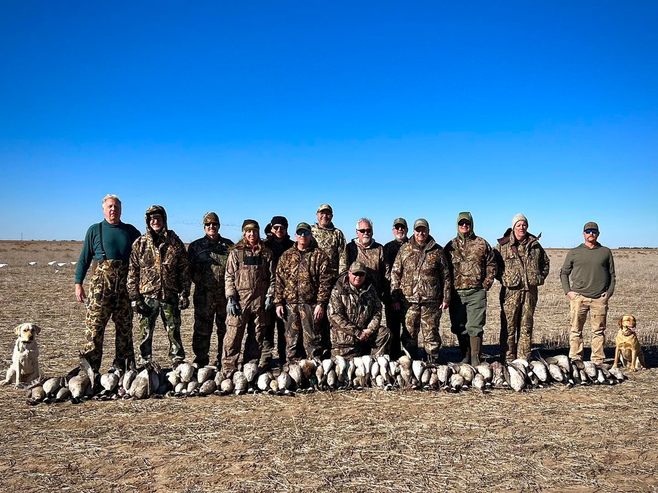 Drive-in Goose / Crane Hunts In Olton