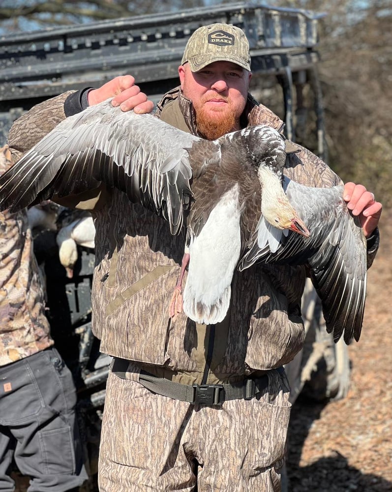 Drive-in Goose / Crane Hunts In Olton