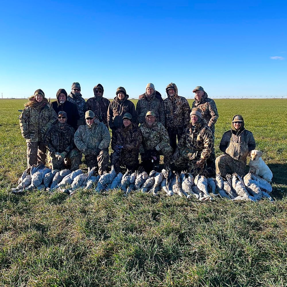 Drive-in Goose / Crane Hunts In Olton