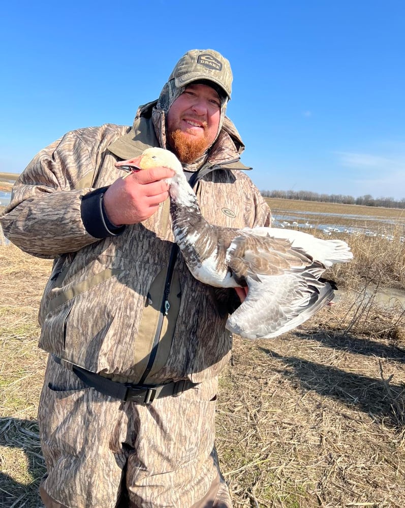 Drive-in Goose / Crane Hunts In Olton