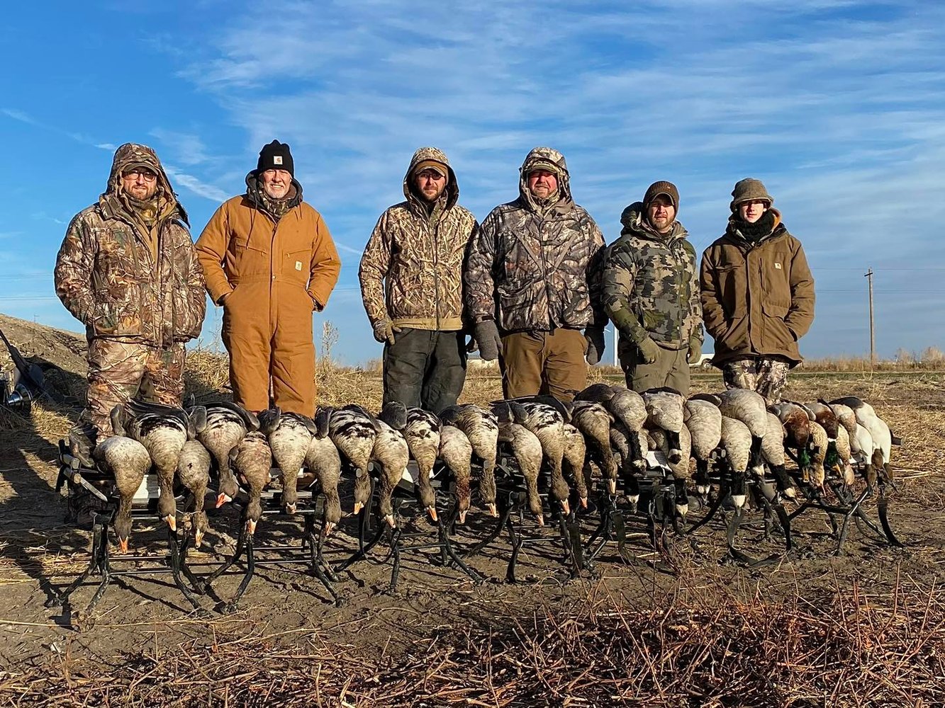 Drive-in Goose / Crane Hunts In Olton