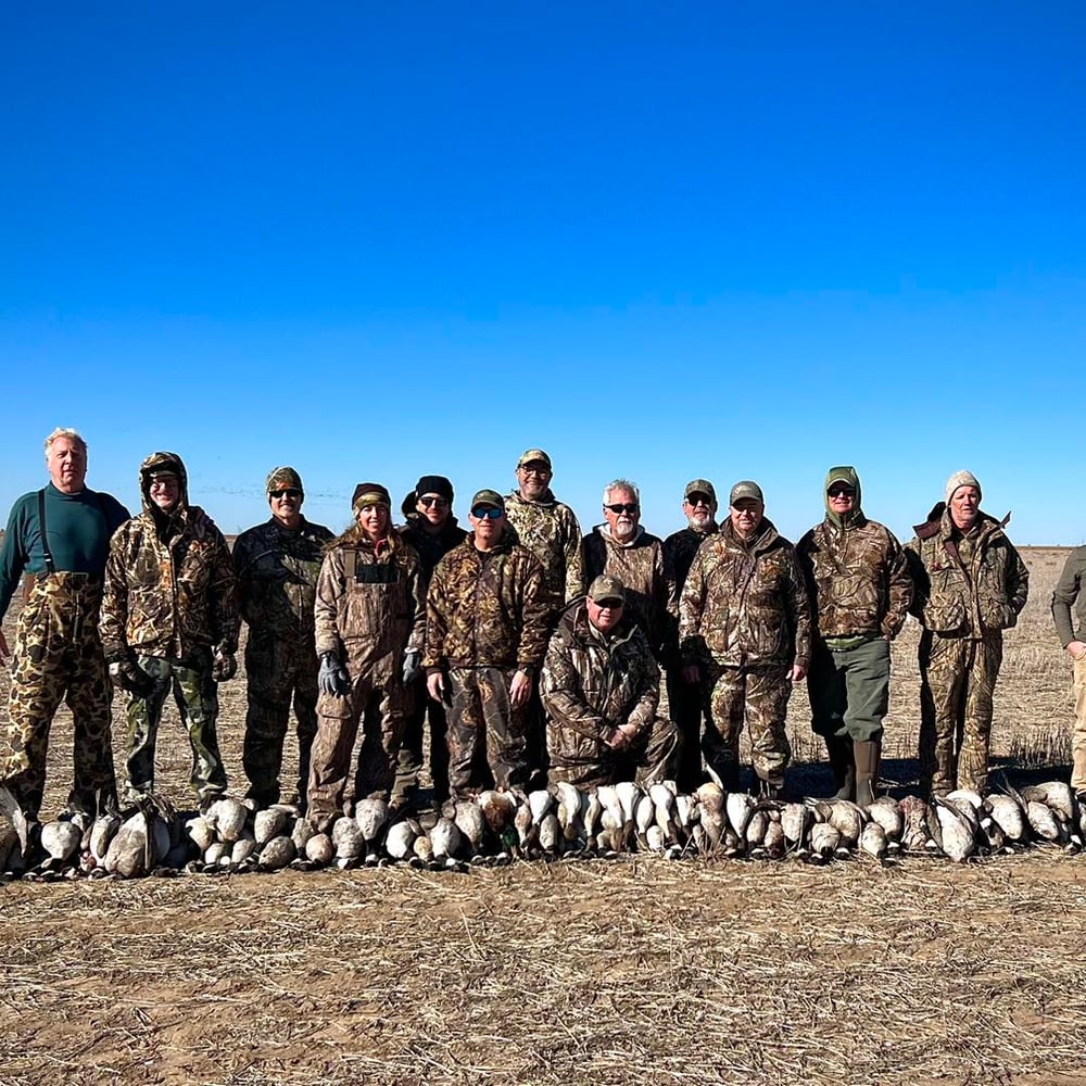 Drive-in Goose / Crane Hunts In Olton