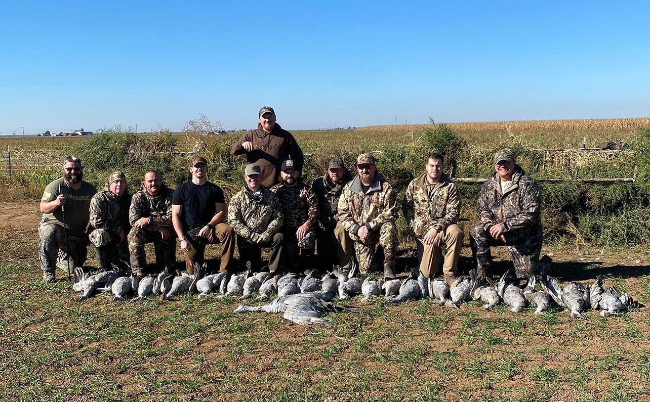 Drive-in Goose / Crane Hunts In Olton