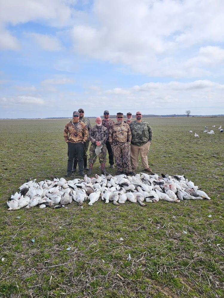 Goose Hunts W/ Lodging Available In Fisher