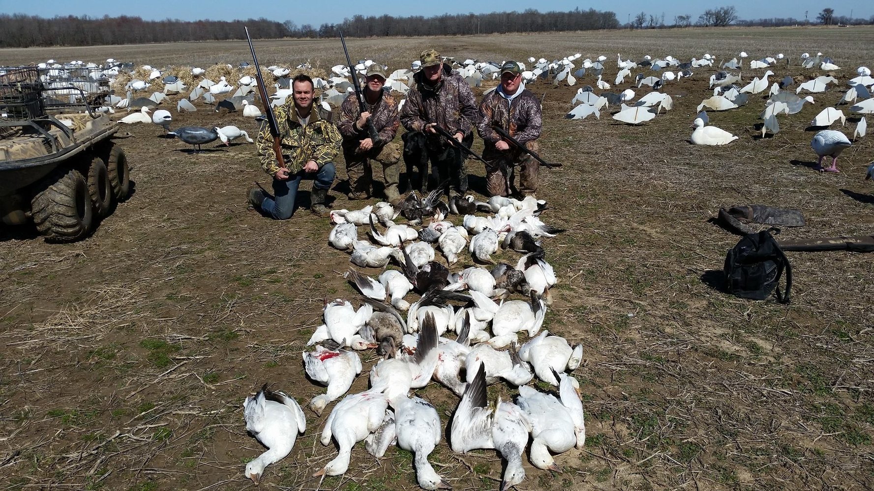 Goose Hunts W/ Lodging Available In Fisher