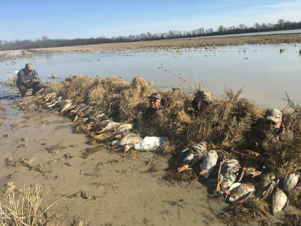 Goose Hunts W/ Lodging Available In Fisher