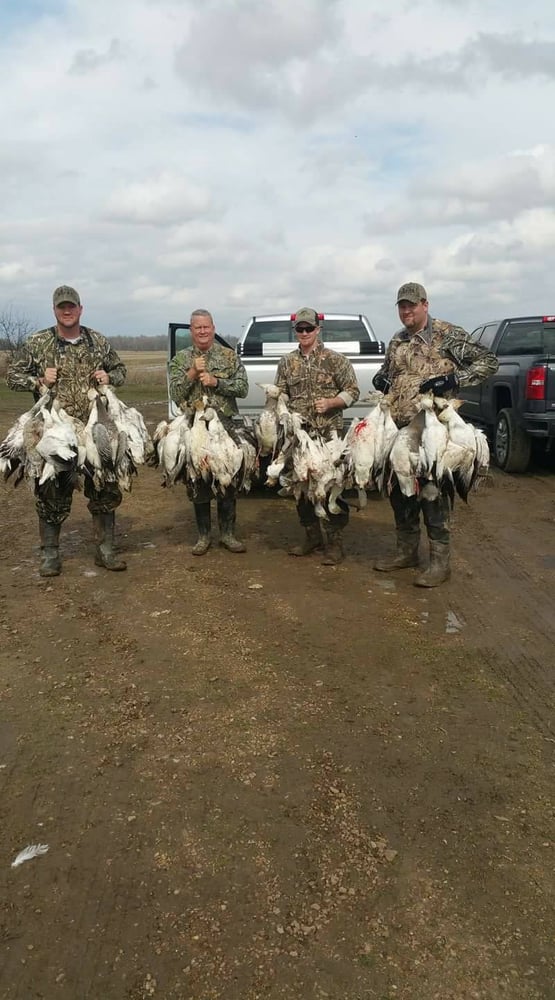 Goose Hunts W/ Lodging Available In Fisher