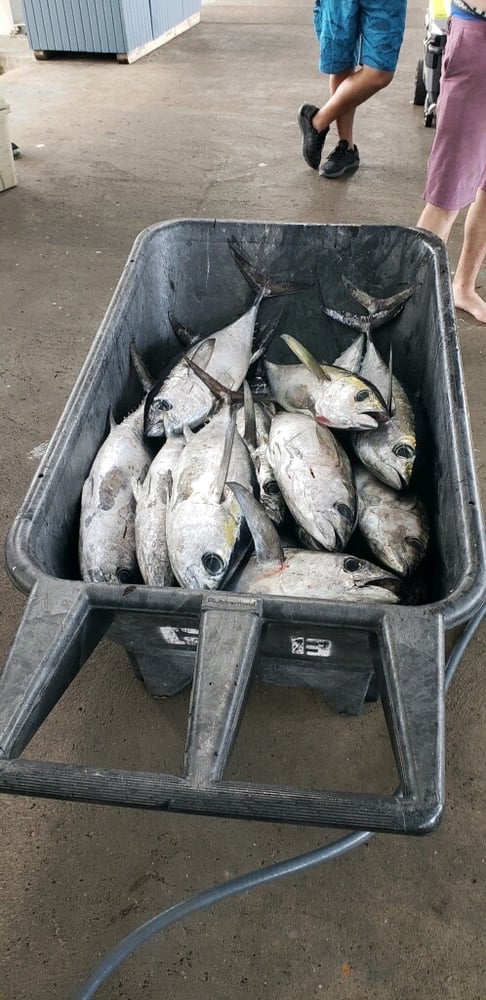 36-Hour Offshore - 55' Viking In Galveston