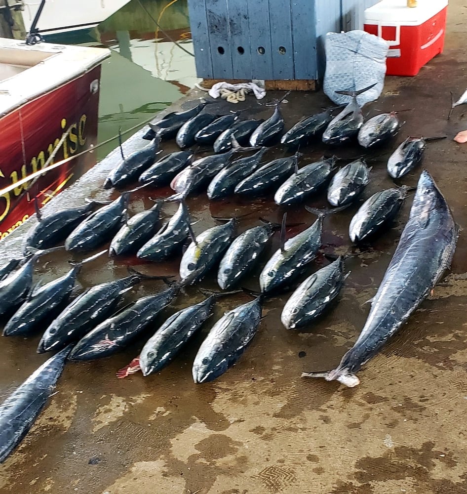 36-Hour Offshore - 55' Viking In Galveston