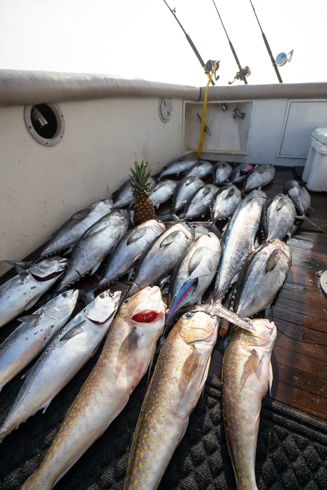 36-Hour Offshore - 55' Viking In Galveston