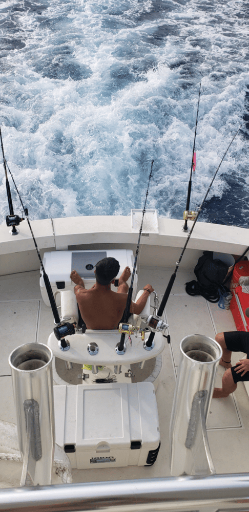 Offshore Full Day Trip - 48' Viking In Galveston