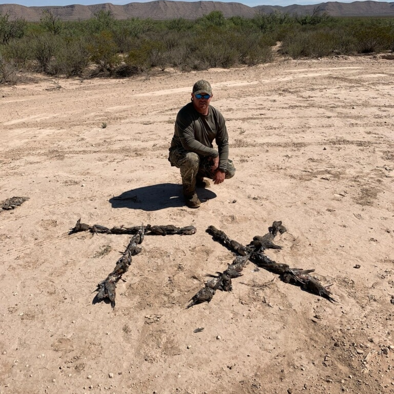 West Texas Dove Hunts In El Paso