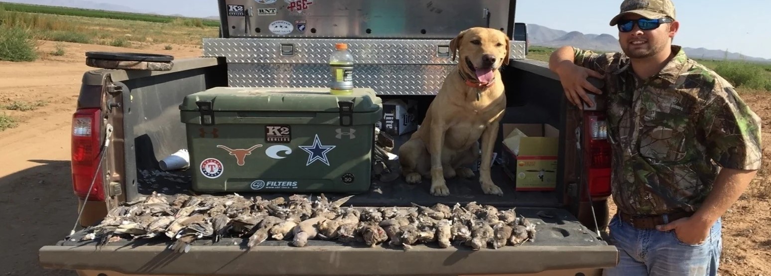 West Texas Dove Hunts In El Paso