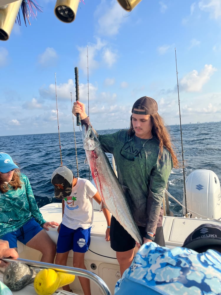 Amberjack In Panama City