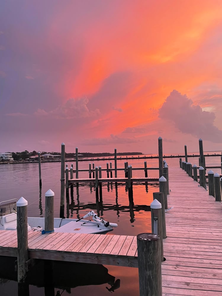 Inshore/Nearshore In Gulf Shores