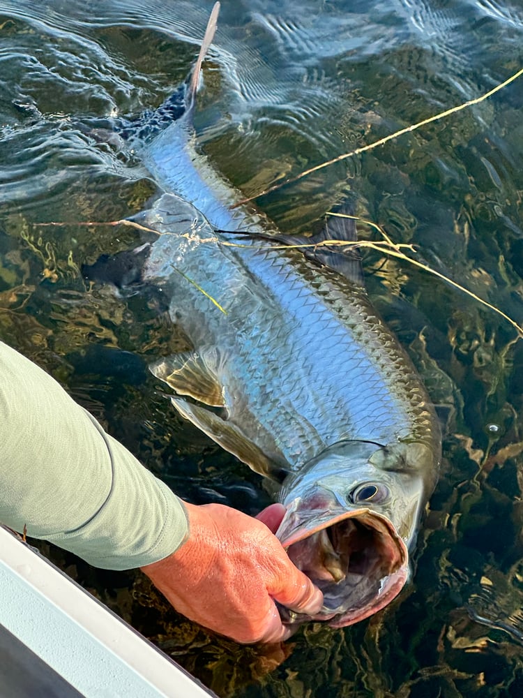 Big Pine Key Fly Or Light Tackle In Big Pine Key