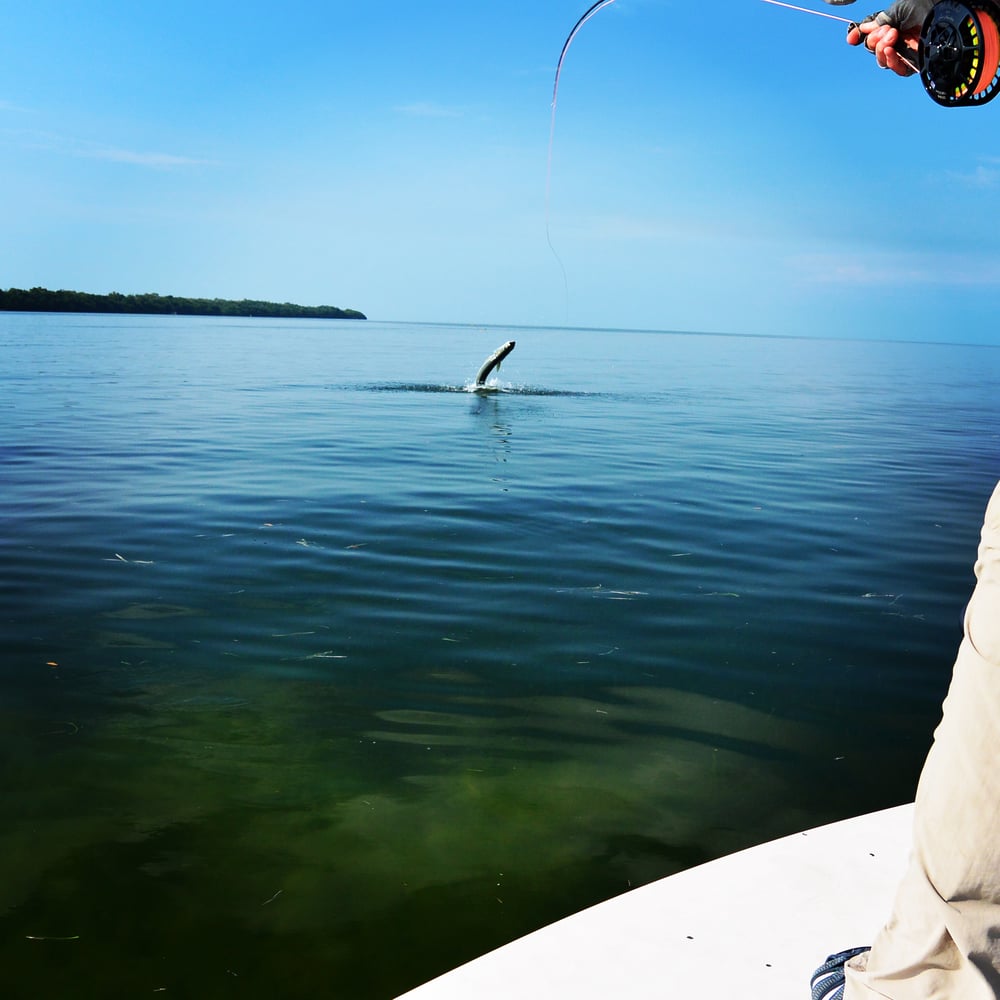 Big Pine Key Fly Or Light Tackle In Big Pine Key